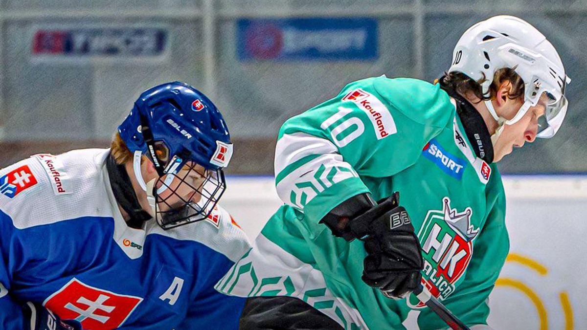 Momentka zo zápasu Slovensko 18 - Skalica.