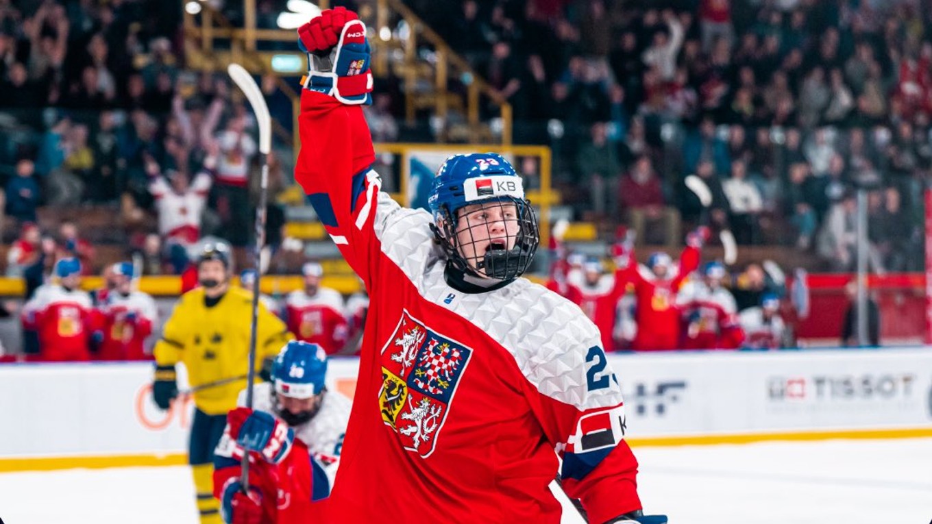 Momentka zo zápasu Česko - Švédsko.