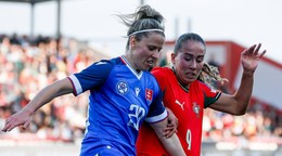 Momentka zo zápasu Portugalsko - Slovensko.