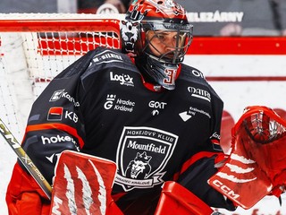 Stanislav Škorvánek