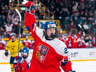 Momentka zo zápasu Česko - Švédsko.