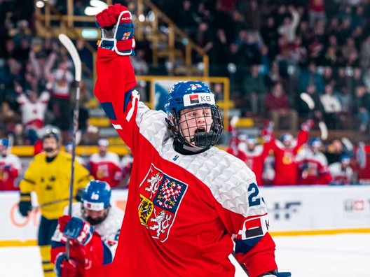 Momentka zo zápasu Česko - Švédsko.