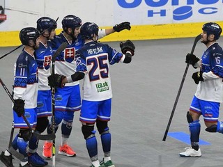 Reprezentanti Slovenska v hokejbale.