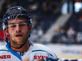 Rayen Petrovický.