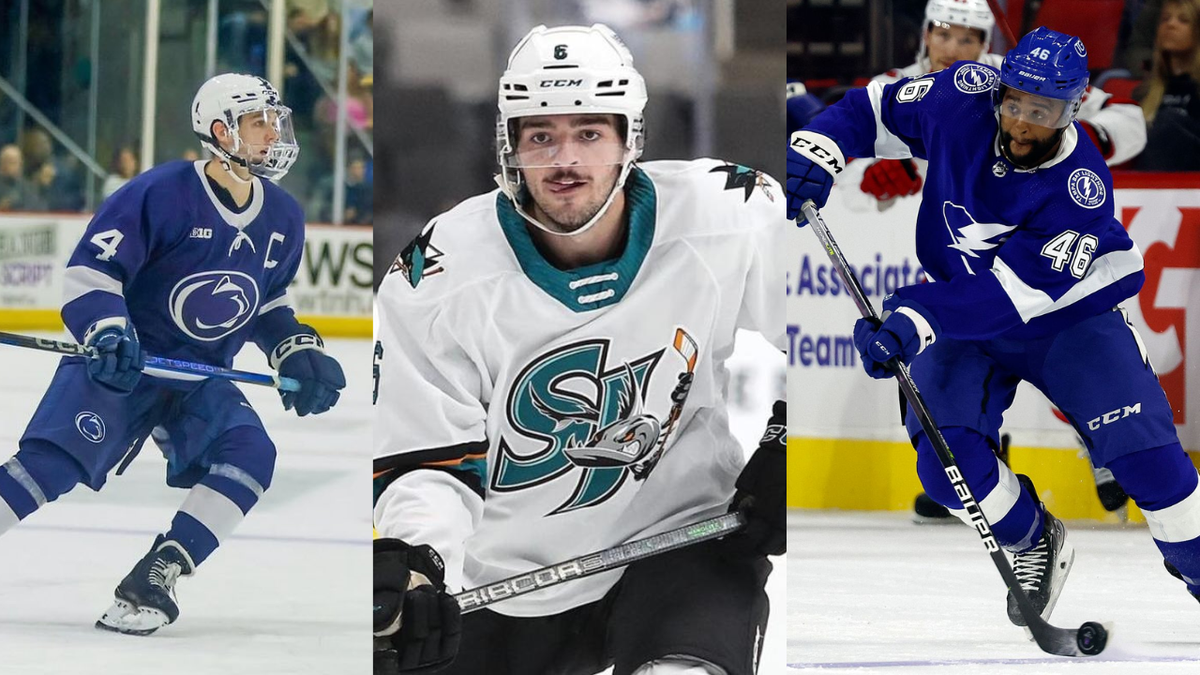 Posily extraligy: Nádejný medik, problémový talent a člen prvého černošského útoku NHL