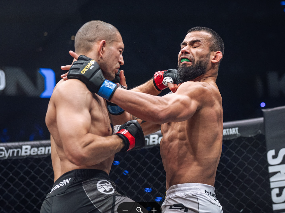 Paradeiser v súboji s Netom.