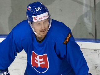 Richard Pánik počas tréningu slovenskej hokejovej reprezentácie.