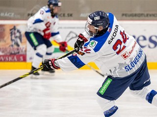 Slovenskí hokejisti do 16 rokov.