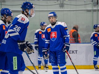 Slovenskí hokejisti.