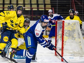 Momentka zo zápasu Slovensko - Švédsko.