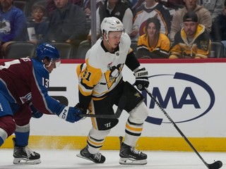 Hokejista Pittsburghu Penguins Ben Kindel.