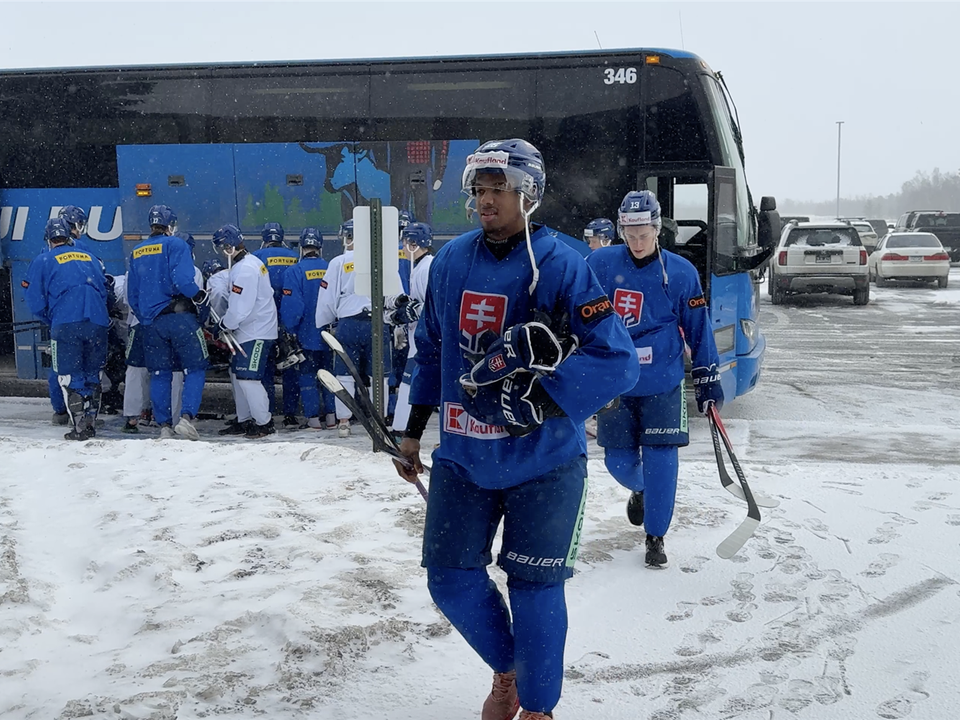 Slovenskí hokejisti do 20 rokov