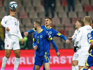 Ľubomír Šatka (vľavo) v zápase Bosna a Hercegovina - Slovensko v kvalifikácii EURO 2024.