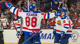 Juraj Pekarčík v drese Monctonu Wildcats