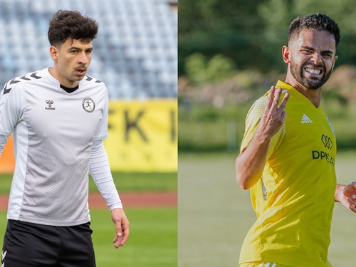 Schlossár - Vinicius.jpeg