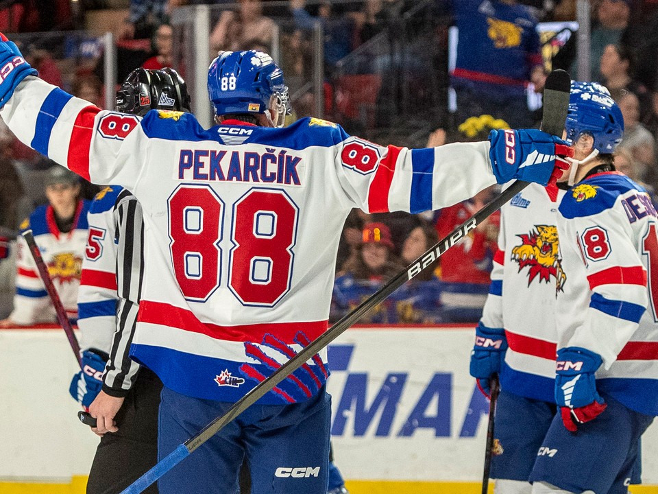 Juraj Pekarčík v drese Monctonu Wildcats. 