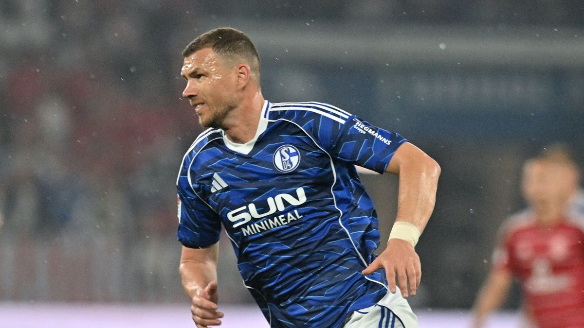 Edin Džeko v drese Schalke.