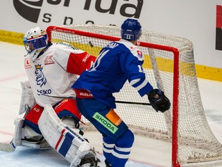 Fotka z prípravného duelu Slovenska proti Česku.