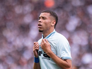 Alysson v drese Gremia.