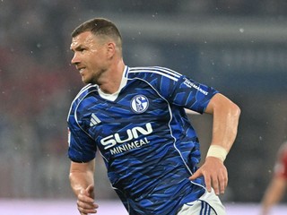 Edin Džeko v drese Schalke.