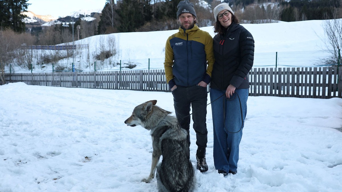Fascinujúci príbeh psa, ktorý narušil preteky v behu na lyžiach. Diváci si mysleli, že vidia vlka