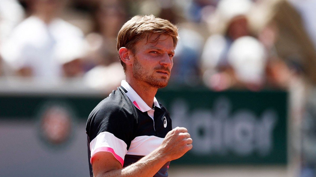 David Goffin.