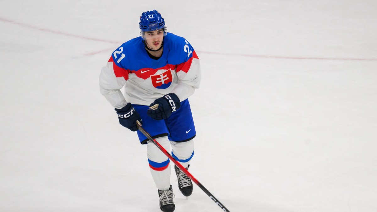 Na snímke Adam Ružička (Slovensko) počas zápasu základnej B-skupiny Taliansko - Slovensko v ľadovom hokeji na zimných olympijských hrách.