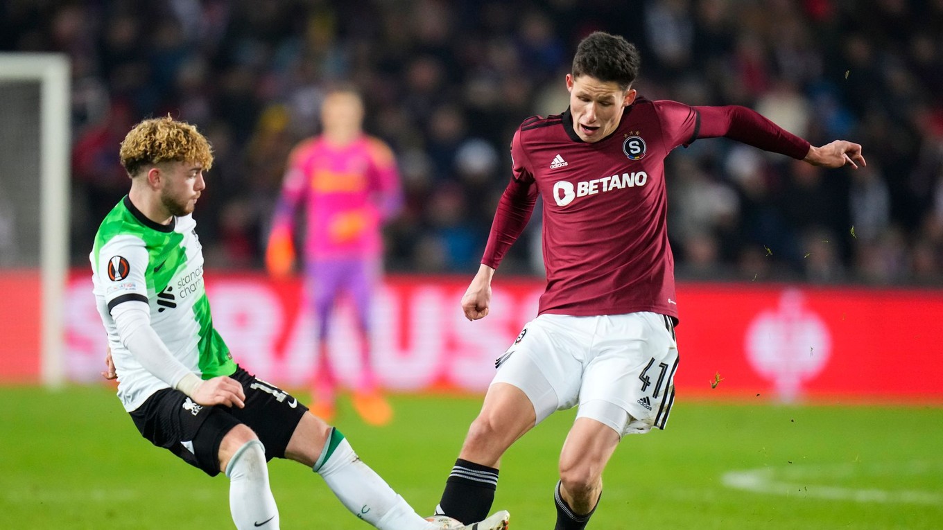 Český futbalový reprezentant Martin Vitík (vpravo).