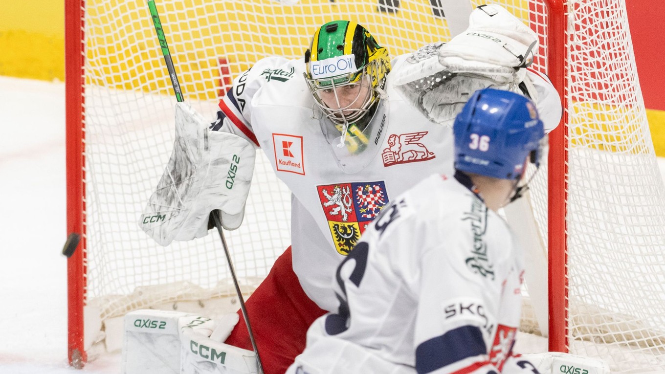 Brankár Jakub Málek v zápase Slovensko - Česko v príprave na MS v hokeji 2024.