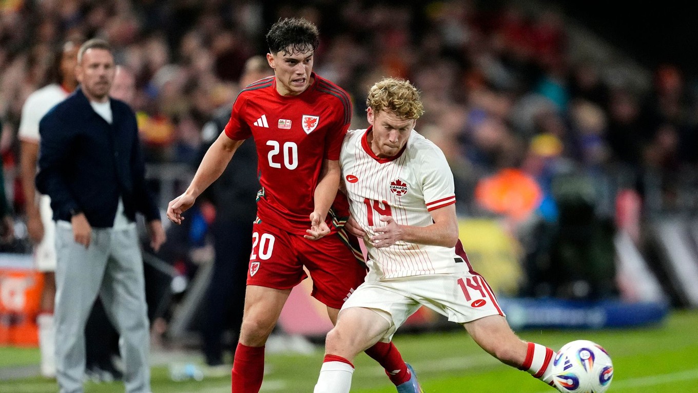 Momentka zo zápasu Wales - Kanada.