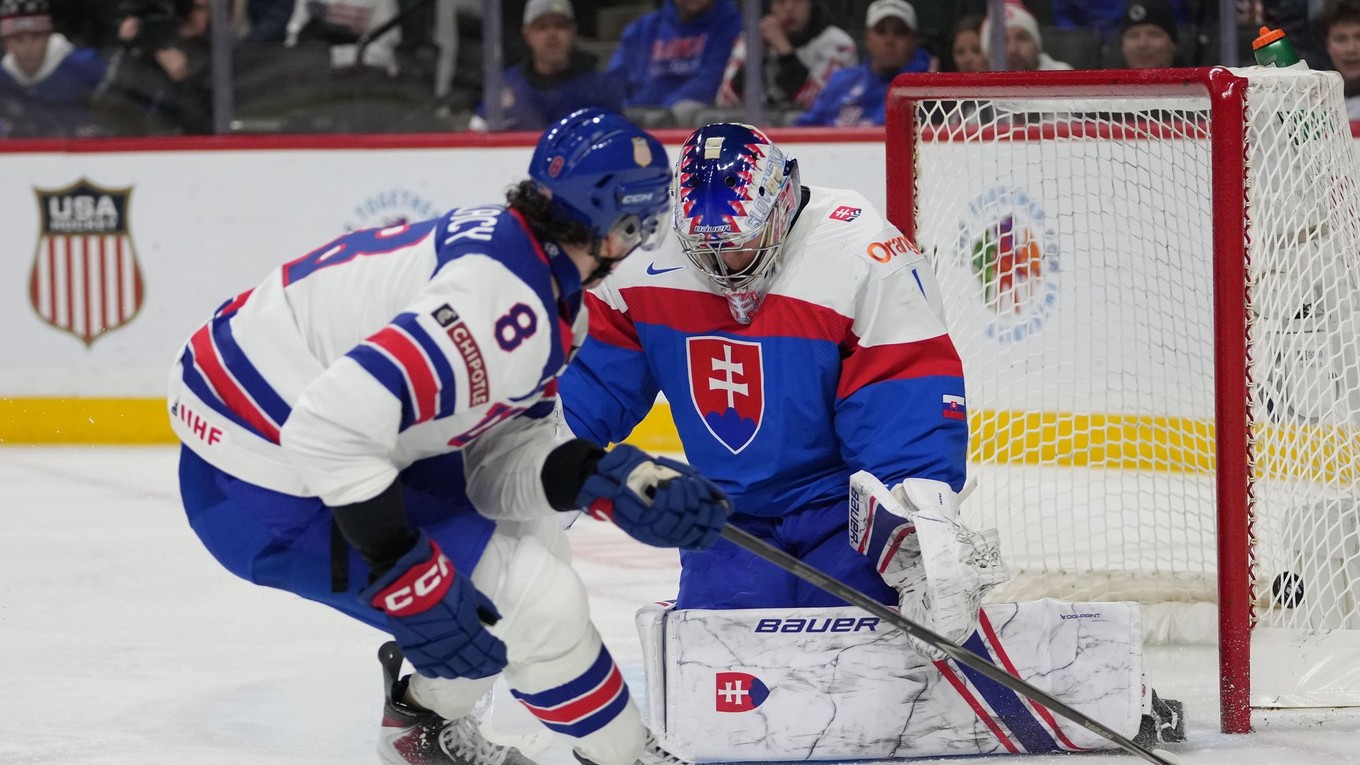 Brankár Michal Prádel inkasuje gól v zápase Slovensko - USA.