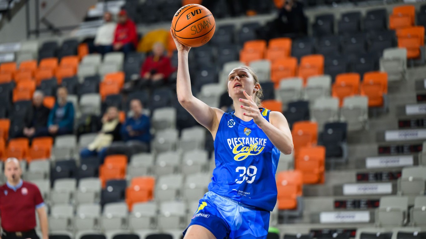 Lin Schwarzová (Čajky)