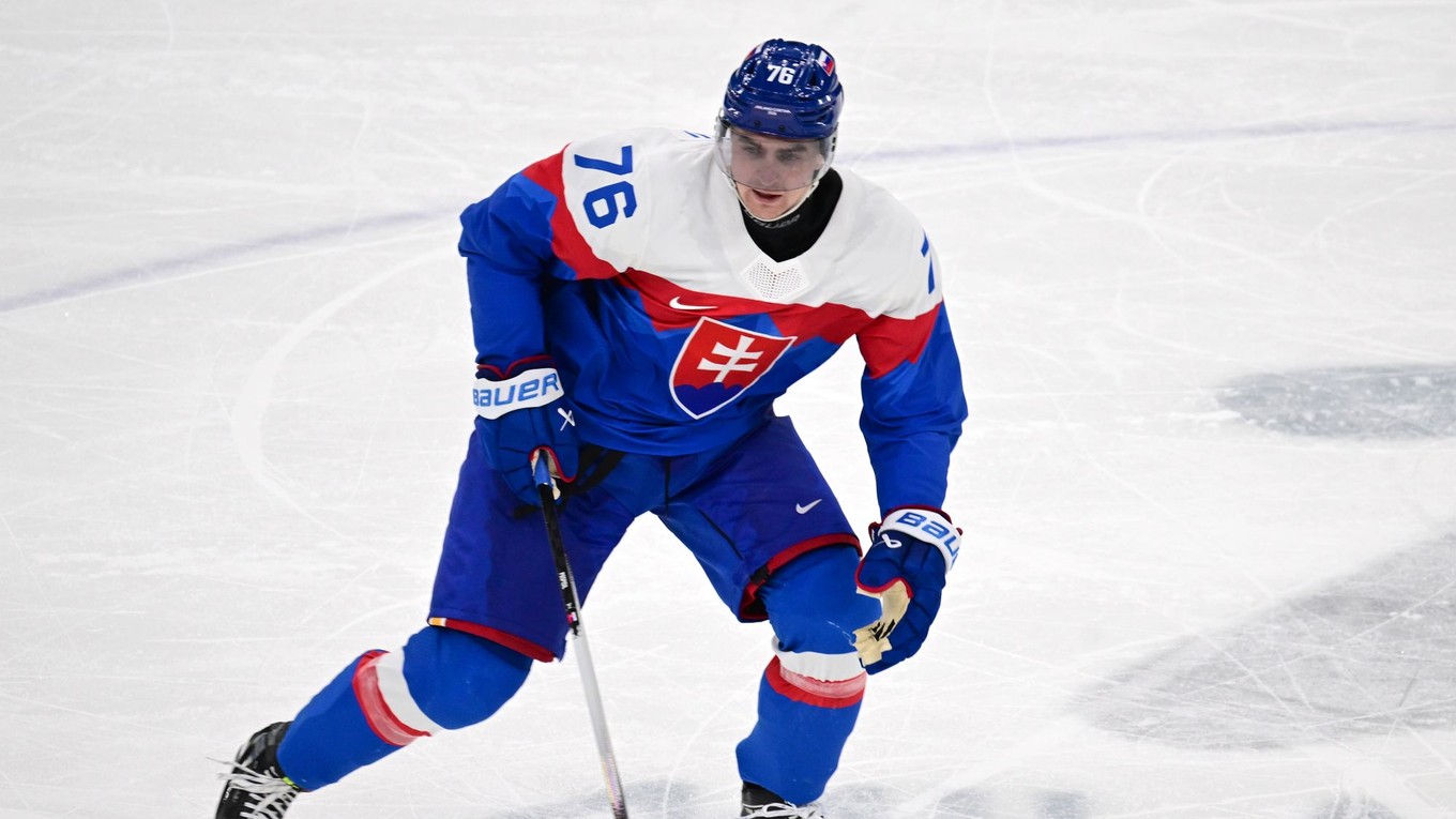 Martin Pospíšil (Slovensko) reaguje vo štvrťfinálovom zápase Nemecko - Slovensko.