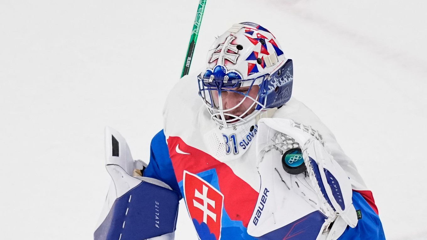 Samuel Hlavaj v zápase proti Fínsku. 