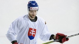 Na snímke Martin Gernát počas tréningu slovenskej hokejovej reprezentácie.