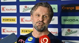 Róbert Petrovický 