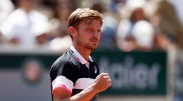 David Goffin.