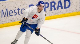 Rayen Petrovický.