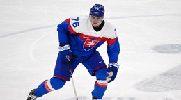 Martin Pospíšil (Slovensko) reaguje vo štvrťfinálovom zápase Nemecko - Slovensko.