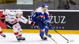 Na snímke zľava Gaetan Haas (Švajčiarsko) a Servác Petrovský (Slovensko) v prípravnom zápase.