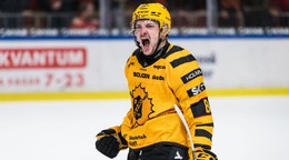 Oliver Okuliar v drese tímu Skellefteå AIK.