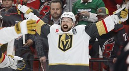 Tomáš Hertl oslavuje gól.