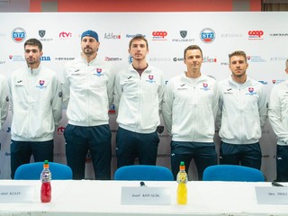 Tím Slovenska v Davisovom pohári.
