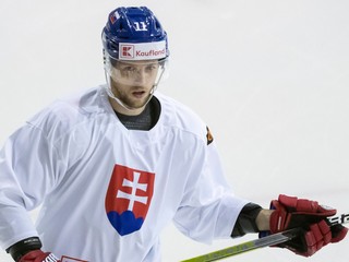 Na snímke Martin Gernát počas tréningu slovenskej hokejovej reprezentácie.