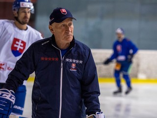 Tréner slovenskej hokejovej reprezentácie Craig Ramsay.