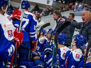 Tréner slovenskej hokejovej reprezentácie Craig Ramsay.