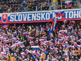 Fanúšikovia Slovenska.