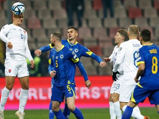 Ľubomír Šatka v zápase Bosna a Hercegovina - Slovensko v kvalifikácii EURO 2024.