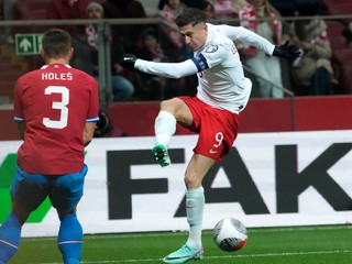 Momentka zo zápasu Poľsko - Česko