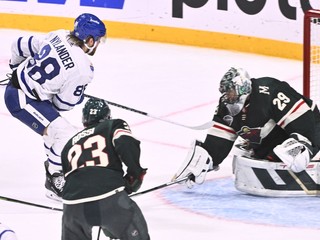 Momentka zo zápasu Toronto Maple Leafs - Minnesota Wild.